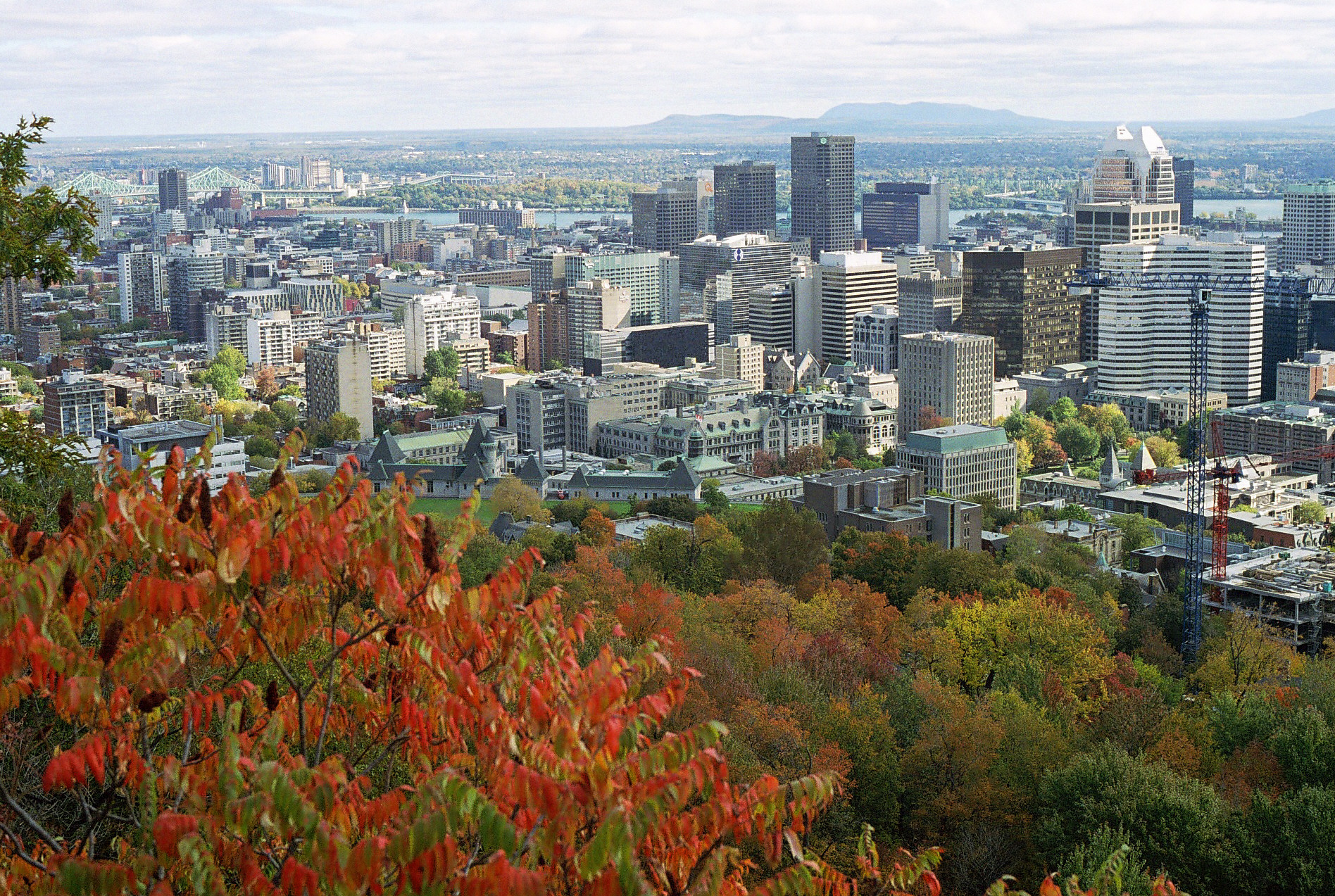 The view on Mount-Royal in fall